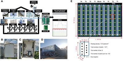 Effect of drainage ratio during strawberry cultivation:The volatilomics-based shelf-life indicators for strawberry fruit